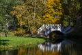 Pond with bridges in the park of Vihula manor house, Estonia Royalty Free Stock Photo