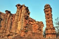 Vijay Stambh or the victory tower in Chittorgarh