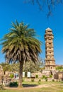 Vijaya Stambha, Victory Tower at Chittor fort. Rajasthan, India