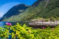 Summer fun along Sognefjord Royalty Free Stock Photo