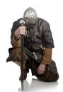 Viking Royalty Free Stock Photo