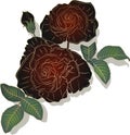 Vector illustration of a flower, black rose.