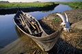 Viking boat Royalty Free Stock Photo