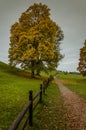 Viking burial site in Old Uppsala, Sweden