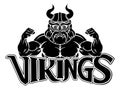 Viking Cartoon Sports Mascot