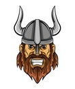 Viking Royalty Free Stock Photo