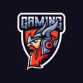 Viking gaming logo