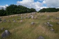 Viking graveyard, Lindholm Hoeje, Aalborg, Denmark Royalty Free Stock Photo