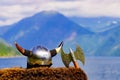 Viking helmet on fjord shore, Norway Royalty Free Stock Photo