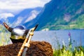 Viking helmet on fjord shore, Norway Royalty Free Stock Photo