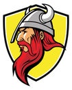 Viking mascot