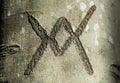 VIking rune carved in smooth gray tree trunk, balance symbol close up Royalty Free Stock Photo