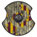 Viking shield Royalty Free Stock Photo