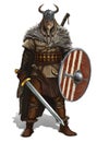 Viking with sword and shield on white realistic illustration