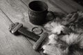 Viking sword and stein on a fur