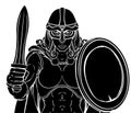 Viking Trojan Spartan Celtic Warrior Knight Woman