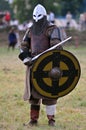 Viking warrior Royalty Free Stock Photo
