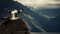 Viking warrior on fjord shore, Norway Royalty Free Stock Photo