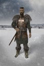 Viking warrior in the snow landscape