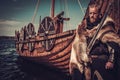 Viking warrior with sword and shield standing near Drakkar on the seashore.