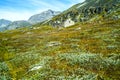 Viking warriors and farmers - view of Hvalsey Viking church meadows, homesteadd and mountain view in Greenland