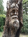 Viking Wood Carving On A Tree Royalty Free Stock Photo