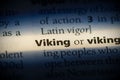 Viking Royalty Free Stock Photo