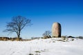 Vikings runestone Royalty Free Stock Photo