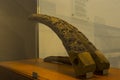 Ancient Preserved things at viking ship museum