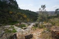 Vila de Rei landscape beautiful nature landscape with waterfalls and green and yellow trees, in Portugal Royalty Free Stock Photo