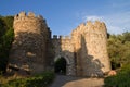 Vila Vicosa castle gateway and canons Royalty Free Stock Photo