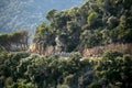 Profesional cyclist peloton during stage 1 at La Volta Catalunya 2024.