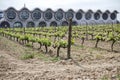 Vilafranca del Penedes,Catalonia,Spain.