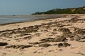 Detail of Chigamane beach with low tide. Vilanculos. Inhambane province. Mozambique