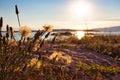 Vilanova de Arousa beach Royalty Free Stock Photo