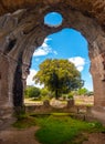 Villa Adriana - Rome Tivoli - Italy - large tree seen through large crumbled walls chasm in ancient Roman palace with