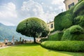 Villa Balbianello. Lake Como. Famous Tree in Garden at Villa del Balbianello on Lake Como. Italy