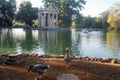 Villa Borghese Gardens in Rome, Italy Royalty Free Stock Photo