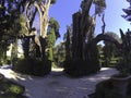 Villa D`Este, Tivoli, Italy - Secular cypress trees in Villa D`Este. Tivoli gardens. Trees and parks of the famous Italian garden