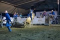 Villa de Alvarez, Colima. Mexico. July 16, 2023. Rider riding a bull