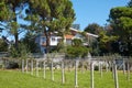 Villa with garden and fruit cultivation in a sunny day, clear blue sky