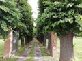 Villa gates and tree lined driveway in Italy Europe