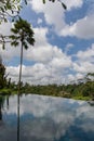 Villa infinity pool with a palm tree and rain forest with blue and clouds in the sky in Bali Indonesia Royalty Free Stock Photo