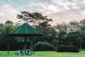 Villa-Lobos Park in San Paulo Sao Paulo, Brazil Brasil Royalty Free Stock Photo