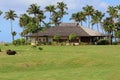 Villa of luxury resort, Guadeloupe Royalty Free Stock Photo