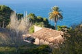 Villa with a palm tree and a sea view in Banyalbufar, Majorca Royalty Free Stock Photo