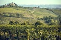 Villa of Tuscany over vineyard row in autumn with ripe wine grapes. Grapes from vines in Italy during harvest time Royalty Free Stock Photo