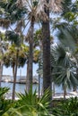 Villa Vizcaya Museum and Gardens, the former estate of James Deering located in Coconut Grove. Royalty Free Stock Photo