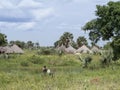 Village along nile river in south sudan Royalty Free Stock Photo