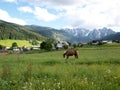 Village by Alps Royalty Free Stock Photo